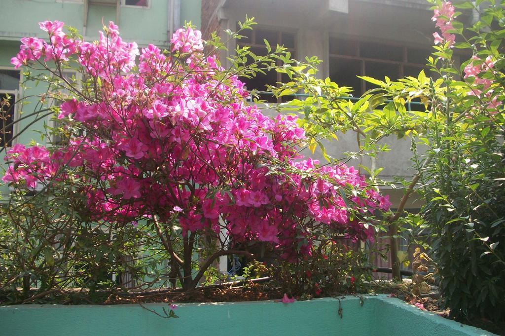 Hotel Impala Garden Katmandu Dış mekan fotoğraf
